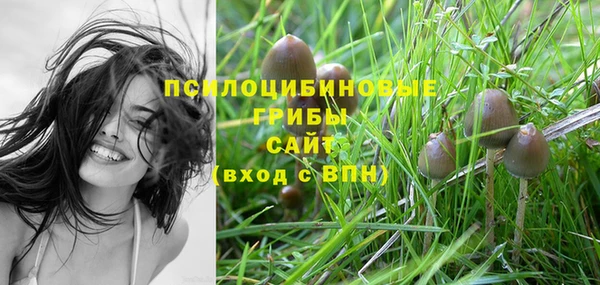 ALPHA-PVP Мегион