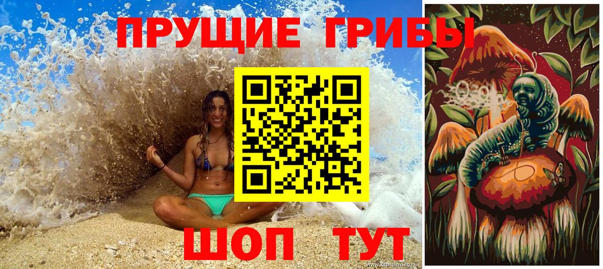 Галлюциногенные грибы Psilocybine cubensis Туапсе